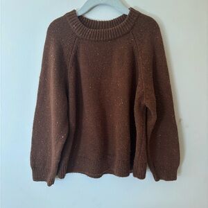 Zara Rich Brown Knit Sweater